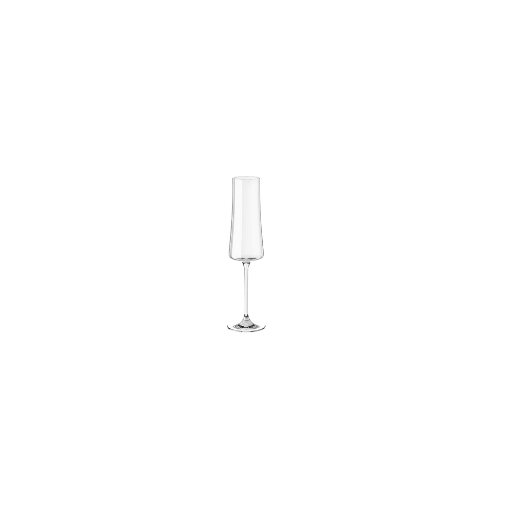 Taça para Espumante Haus Concept Pleasure 210 ml Cristal com Titânio