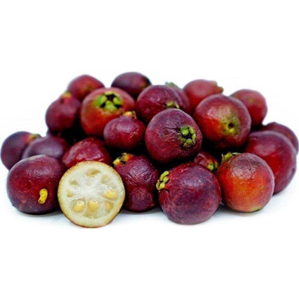 Muda Araça Vermelho 90cm