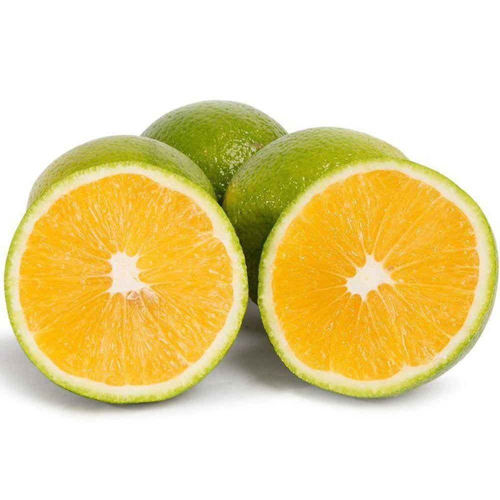 Muda Laranja Valência 90cm