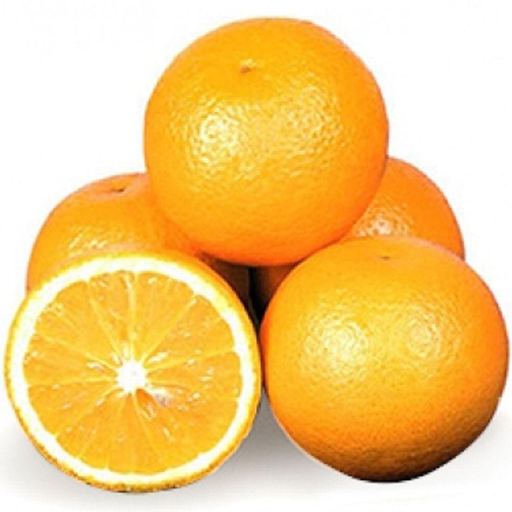 Muda Laranja Rubi 90cm