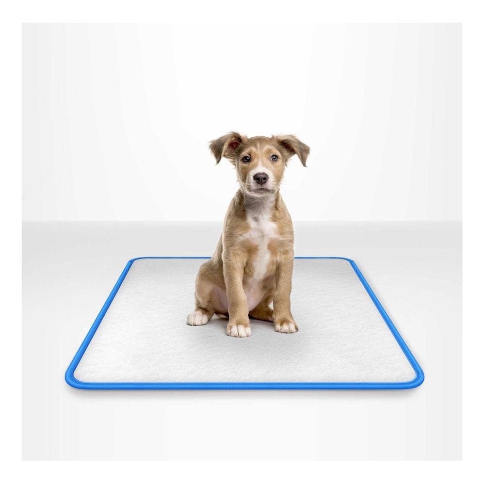 Tapete Higiênico Lavável Para Cães - G 100x90 - 3 Unidades