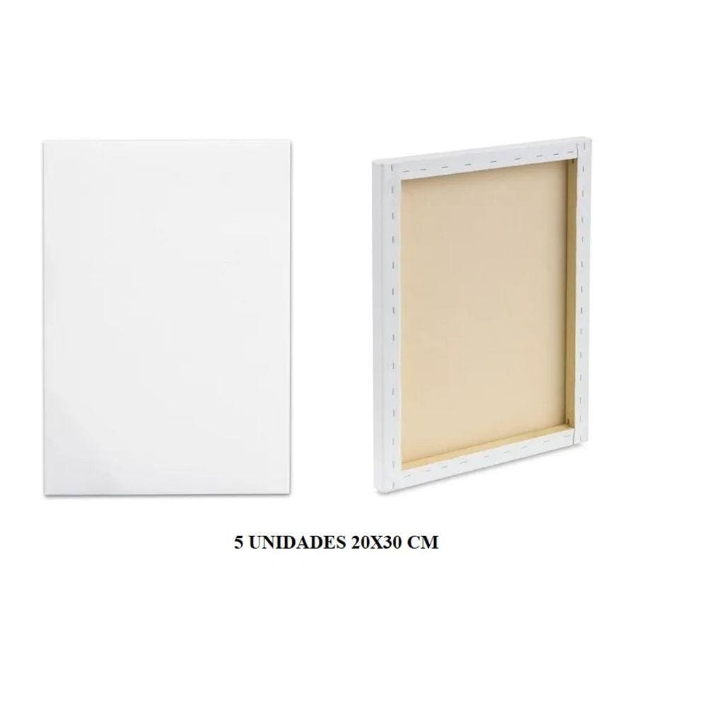 Kit com 5 Telas Para Pintura Tamanho 20x30cm Algodão