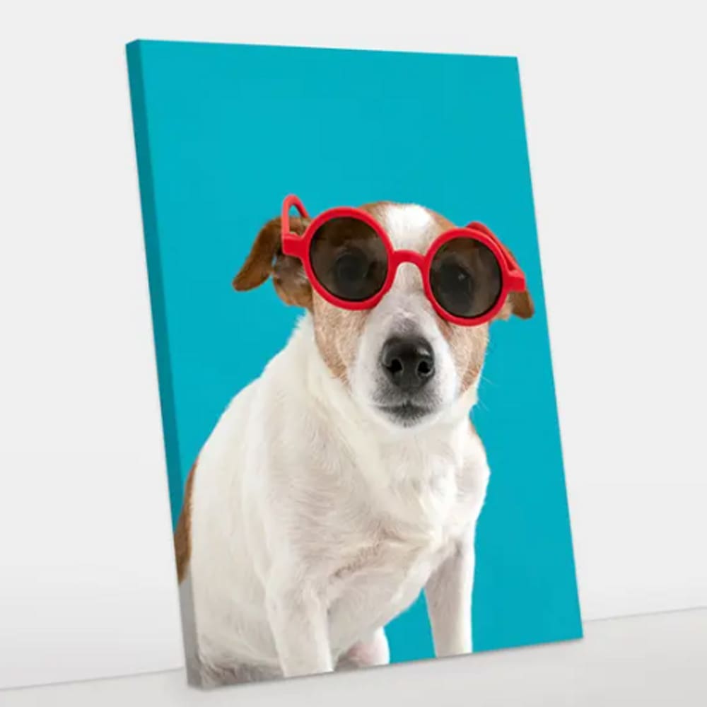 Quadro Decorativo Cachorro Style Canvas 60x90 -Foto Paulista