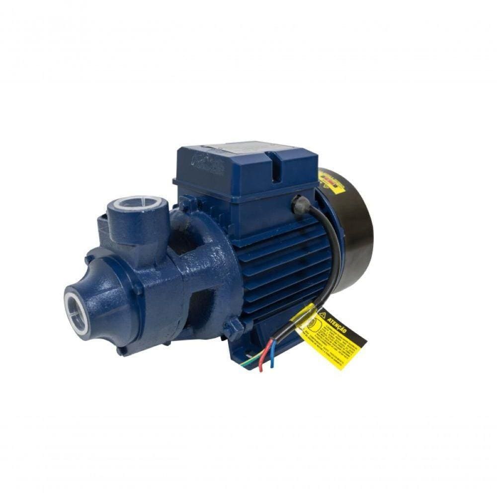 Motobomba Standard Periférica 1Cv 60Hz Bivolt Ics-100Ab