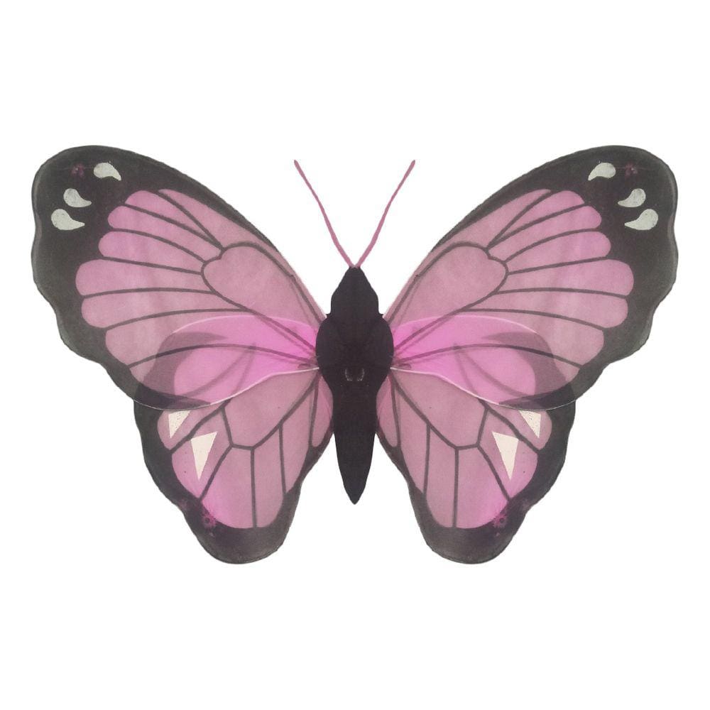 Asa de Borboleta Colorida Luxo Estampada
