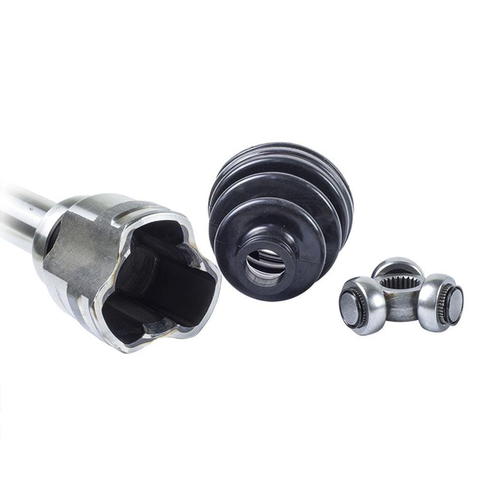 Tulipa Focus  direito