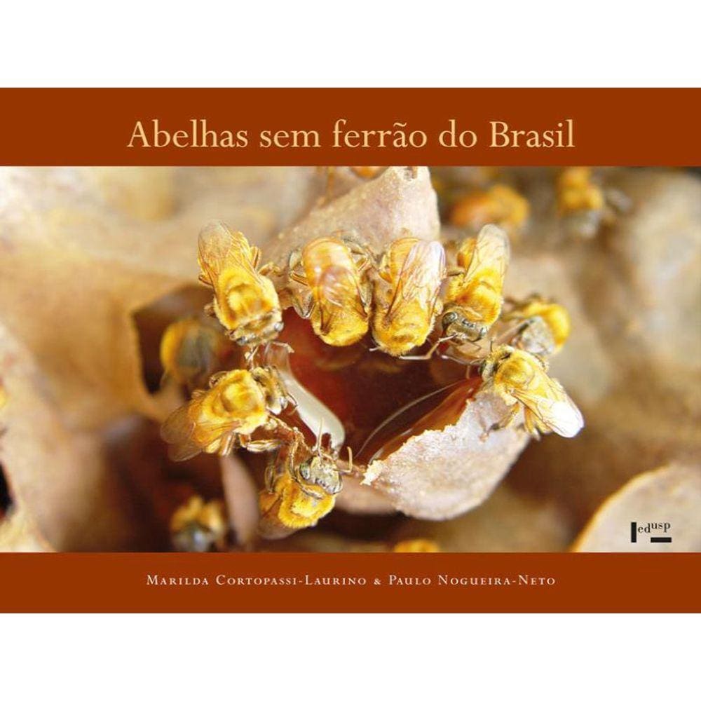 Abc Do Ieb - Vol. 1