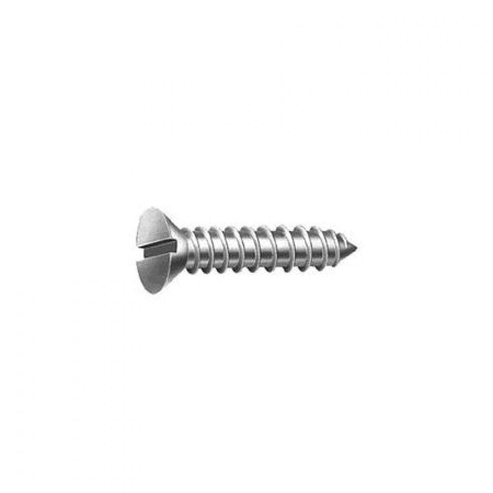 Parafuso Auto Atarraxante - Cabeça Chata 6.3 x 19 mm- Ciser ou Belenus