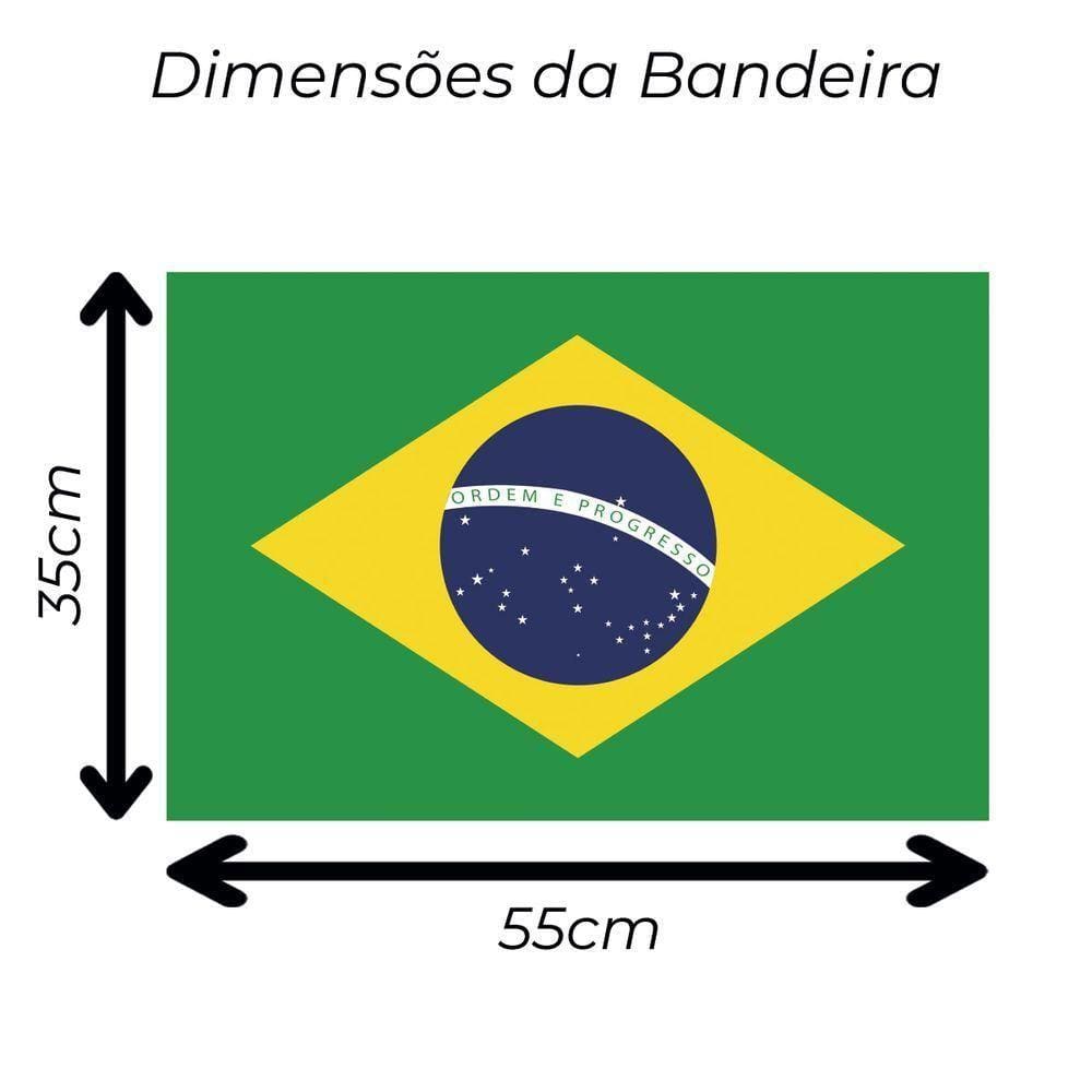 Bandeira Do Brasil Oficial Em Cetim Pequeno 55Cm X 35Cm