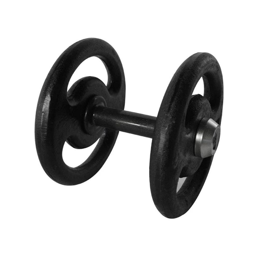 Dumbbell Pintado Pegada Emborrachada Academia Fitness 10kg