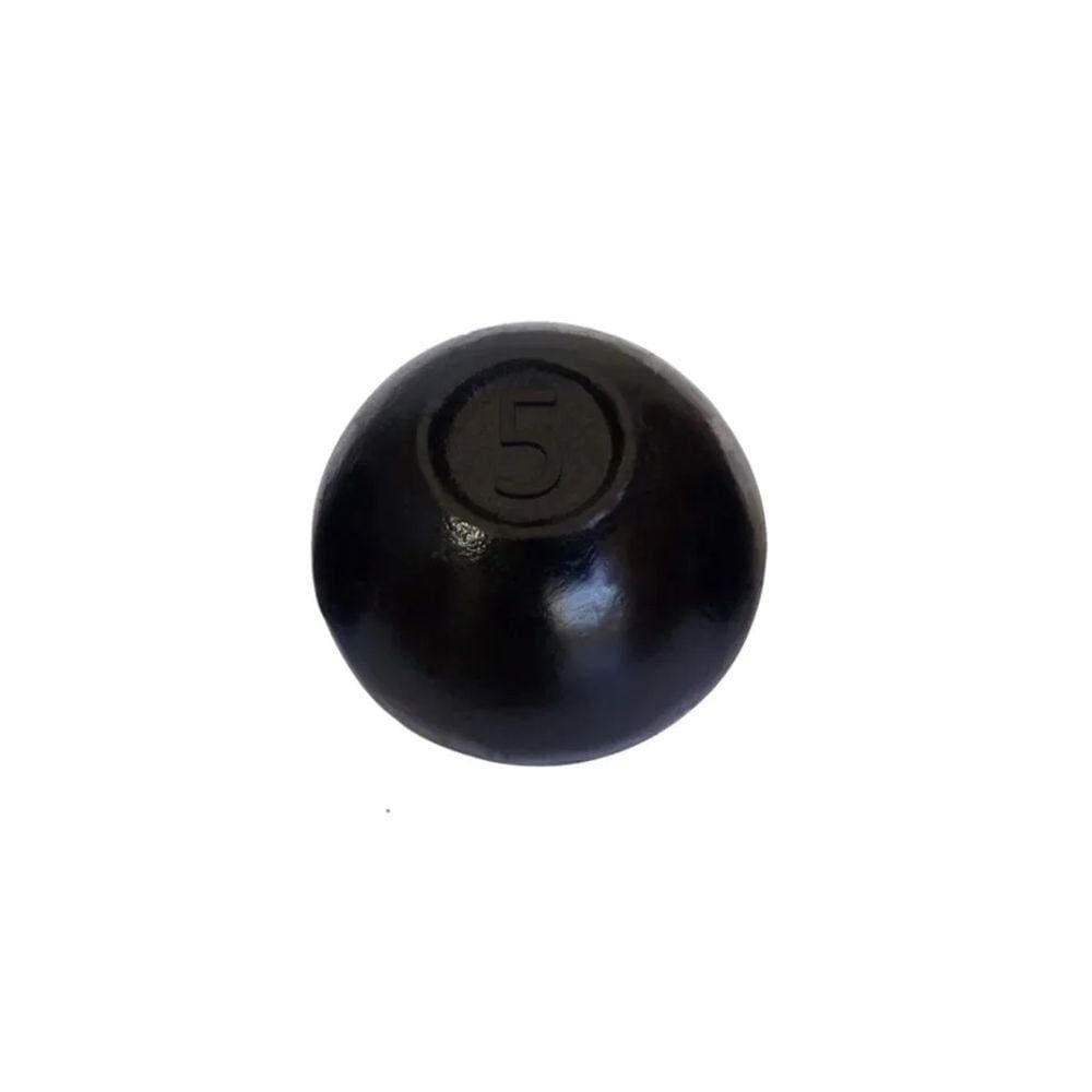 Bola de Arremesso Ferro Fundido Treinamento Funcional 5Kg