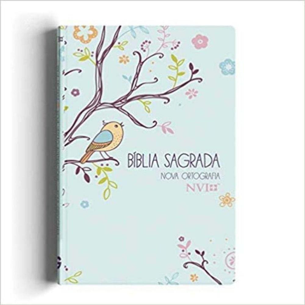 Biblia Nvi Gigante Novo Testamento - Especial