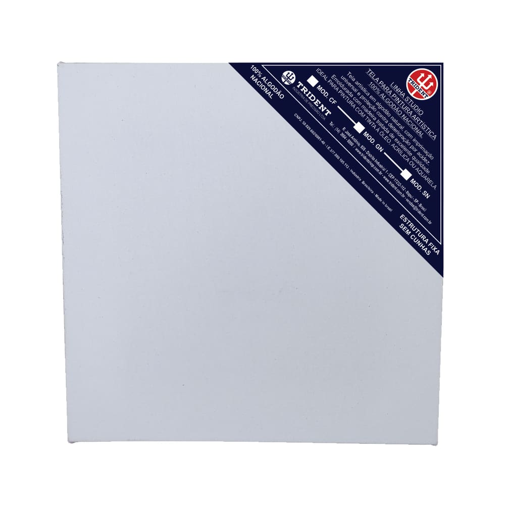 Tela De Pintura Linha Galeria Nacional 100X150