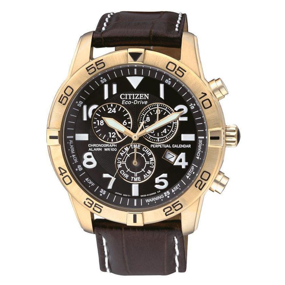Relógio Citizen Ecodrive Perpetual Calender Alarm Bl5472-01E