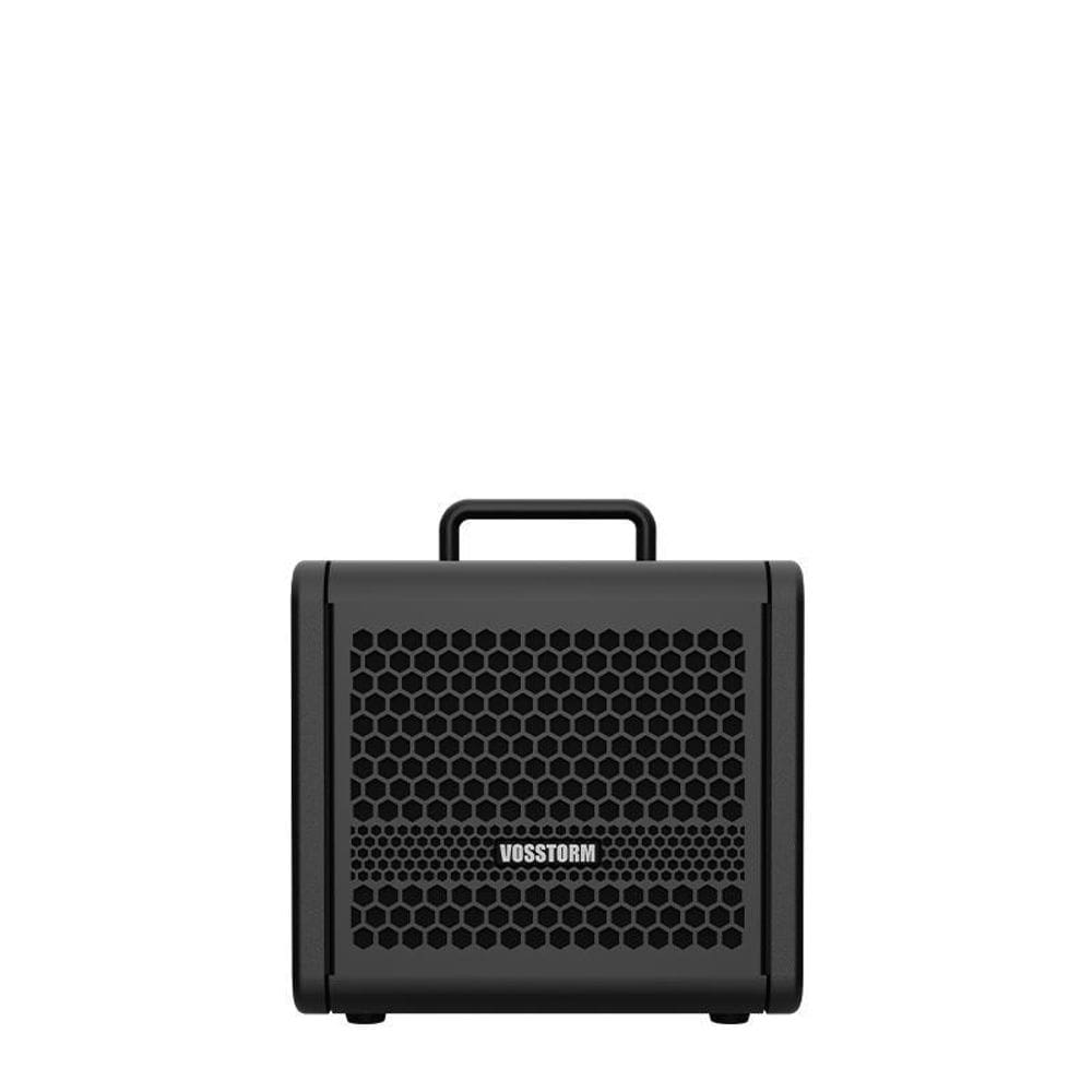 Amplificador Para Guitarra 6 Pol 15W Vosstorm Gx-6