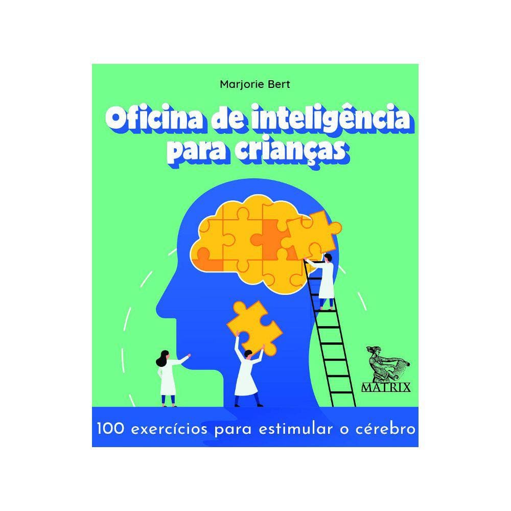 Livro Caixinha - Oficina De Inteligencia Para Criancas