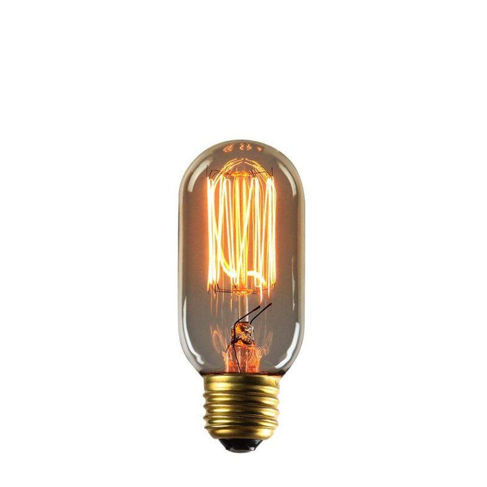 Lâmpada Filamento De Carbono 40W T45 110V