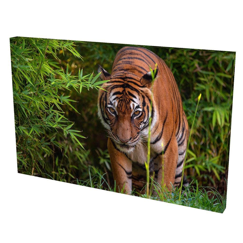 Quadro Decorativo em Tela com Borda Infinita Tigre V