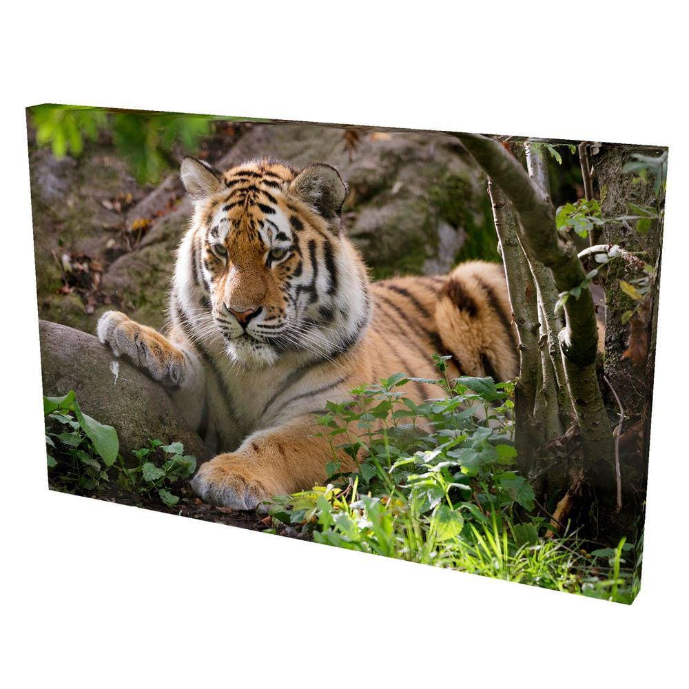 Quadro Decorativo- Tela c/ Borda Infinita Tigre Siberiano II