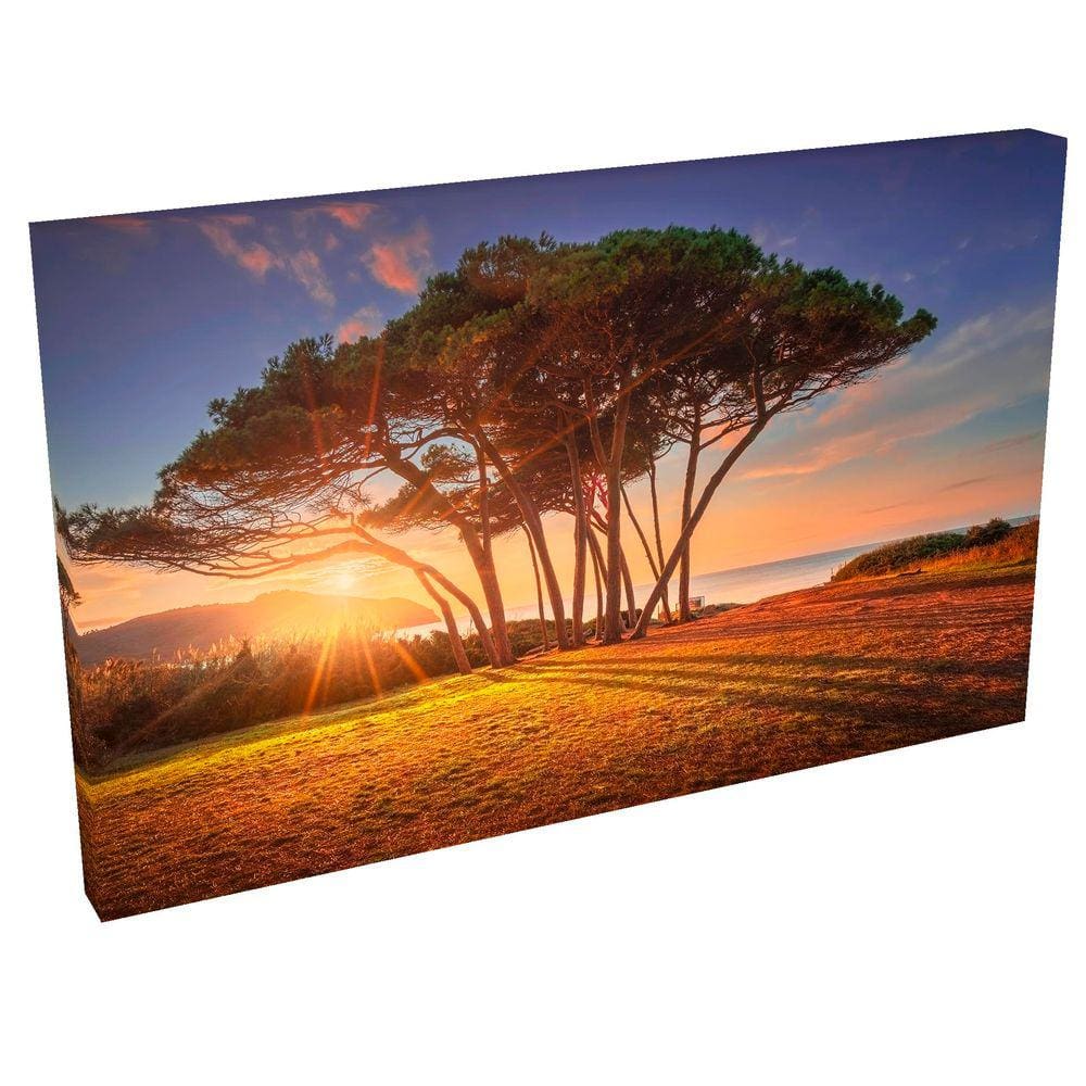 Quadro Decorativo em Tela com Borda Infinita Baratti III