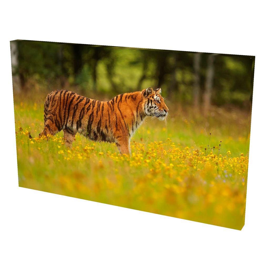 Quadro Decorativo em Tela com Borda Infinita Tigre Siberiano
