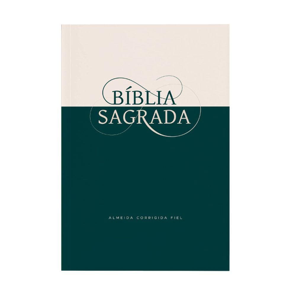 Bíblia Sagrada - Verde E Bege