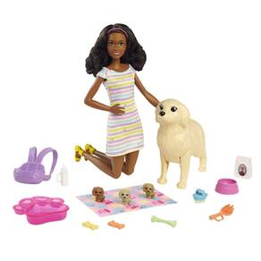 Acessórios para Boneca Barbie com Pet - Casinha de Cães - Mattel -  superlegalbrinquedos