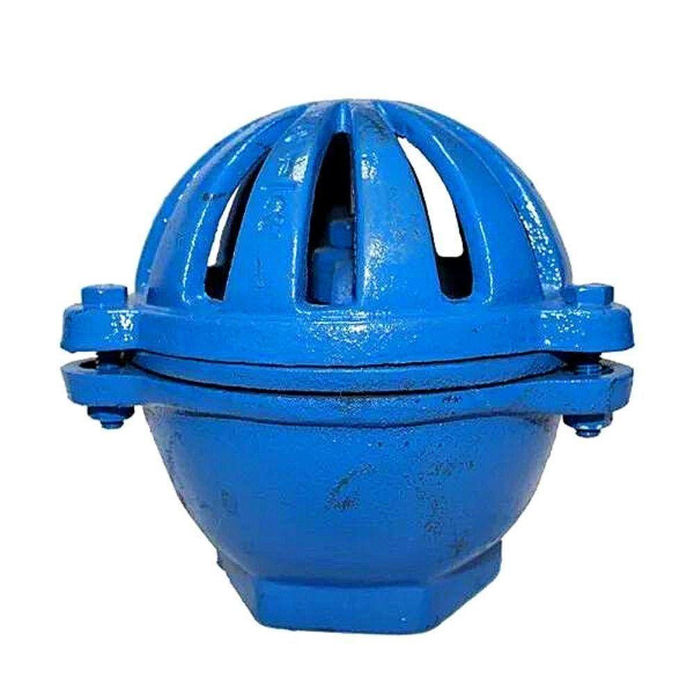 Valvula Pe Sucção De Ferro Fundido Tamanho 5"