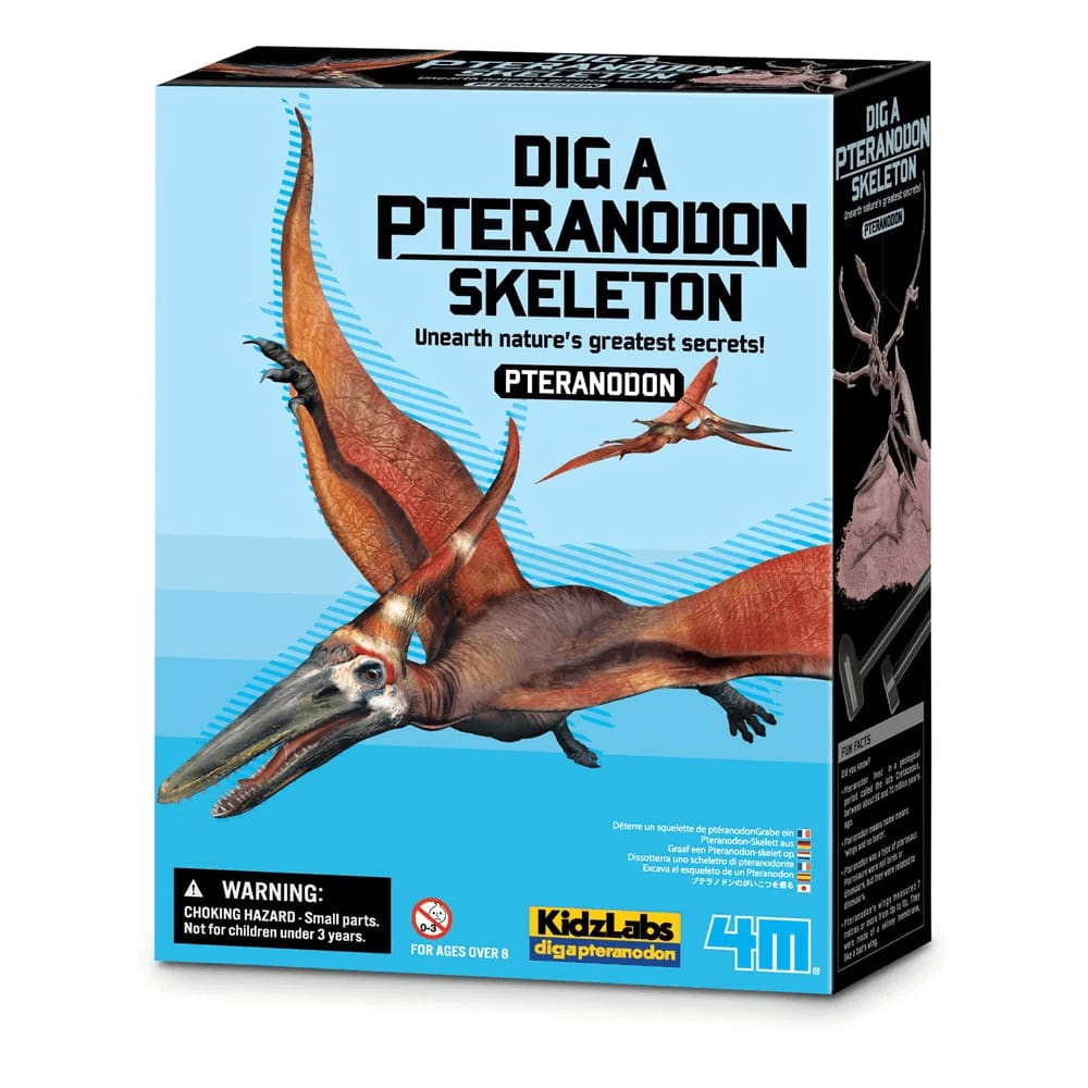 Kit de Escavação Pteranodonte