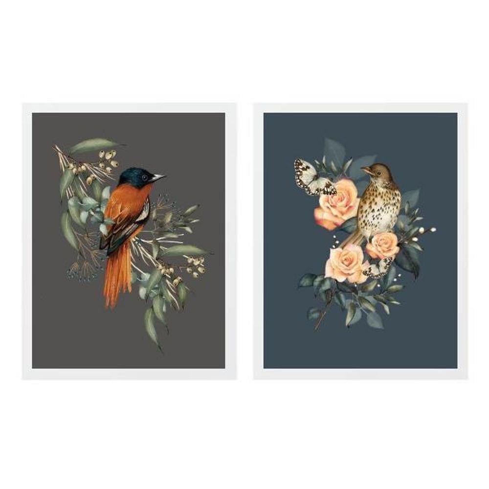 Kit 2 Quadros Passarinhos Clássicos 33X24Cm - Com Vidro