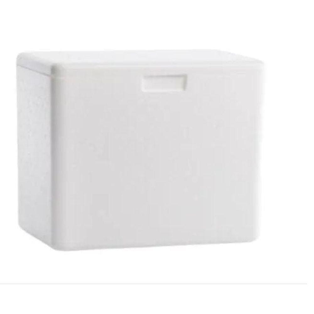 Caixa Térmica Isopor Grande 35Litros Sorvete Refrigerante