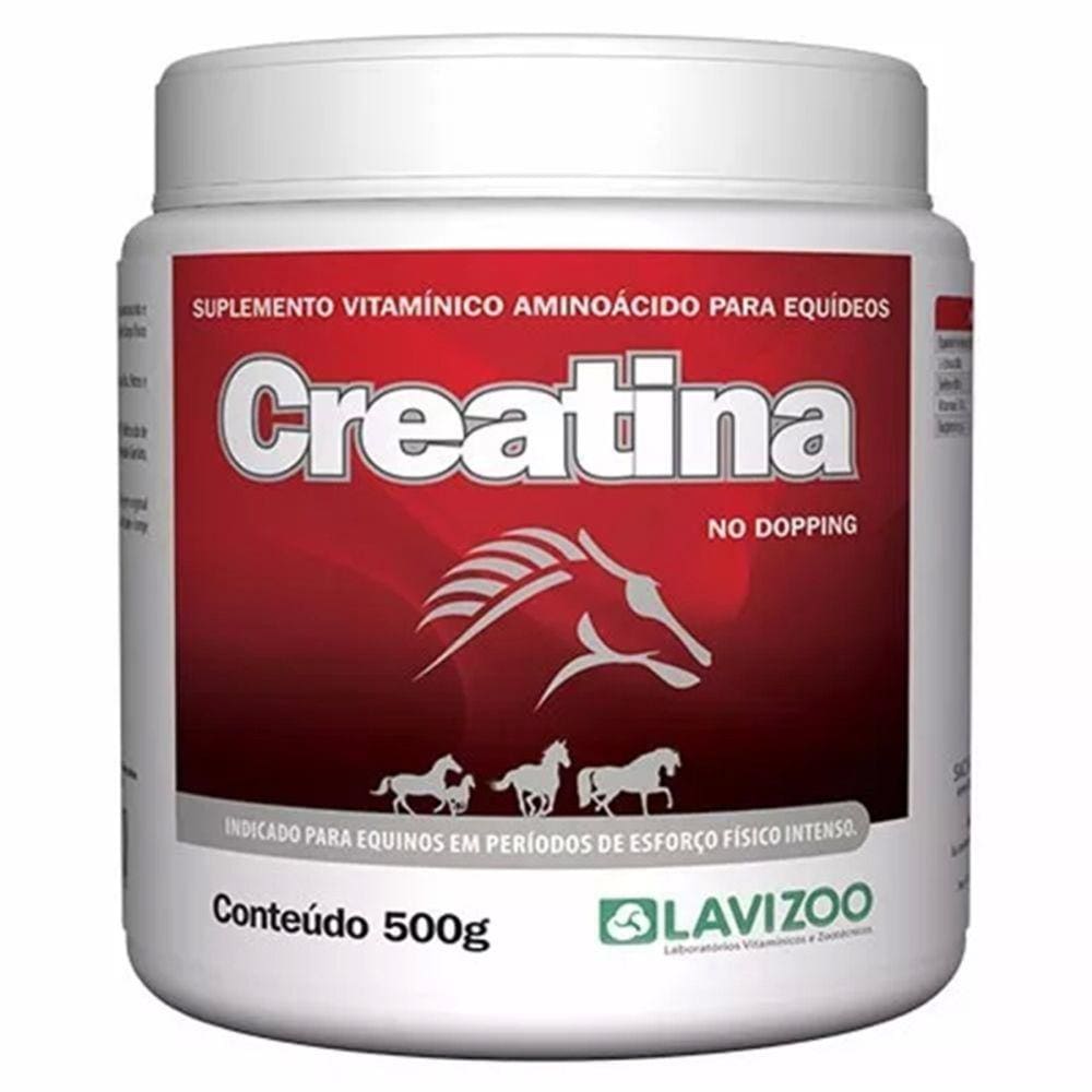 Creatina Lavizoo 500 Gramas - Suplemento Mineral Aminoácido