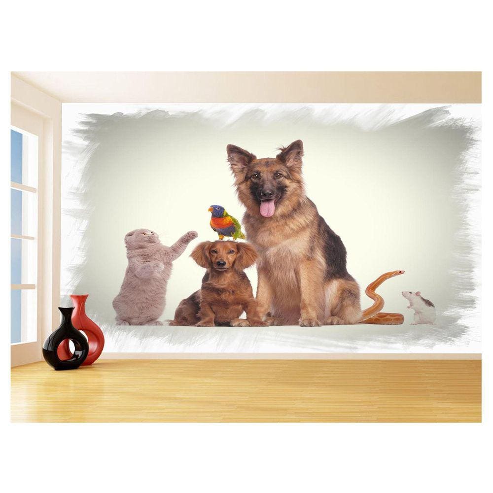 Papel De Parede 3D Animais Cão Gato Petshop 3,5M Anm414