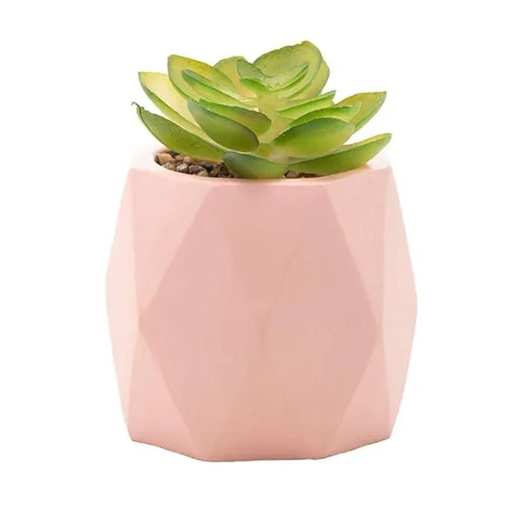 Cachepot de Cimento C/Suculenta Diamond Rosa 7,5cm 61582 - Wolff