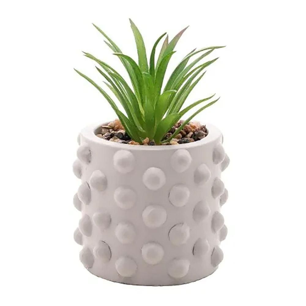 Cachepot de Cimento C/Suculenta Bubbles Cinza Claro 7,5cm 61578 - Wolff