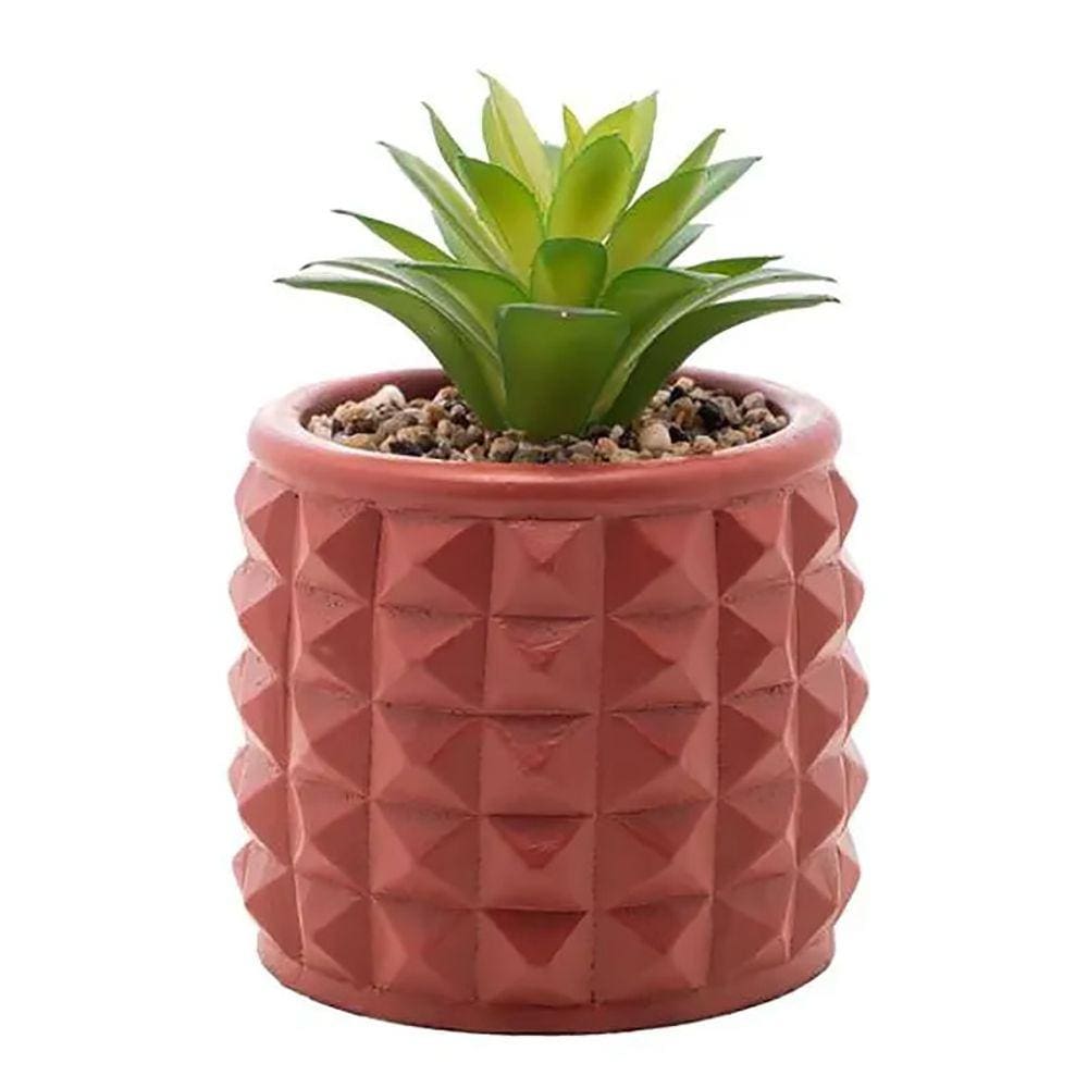 Cachepot de Cimento C/Suculenta Spike Terracota 7,5cm 61575 - Wolff