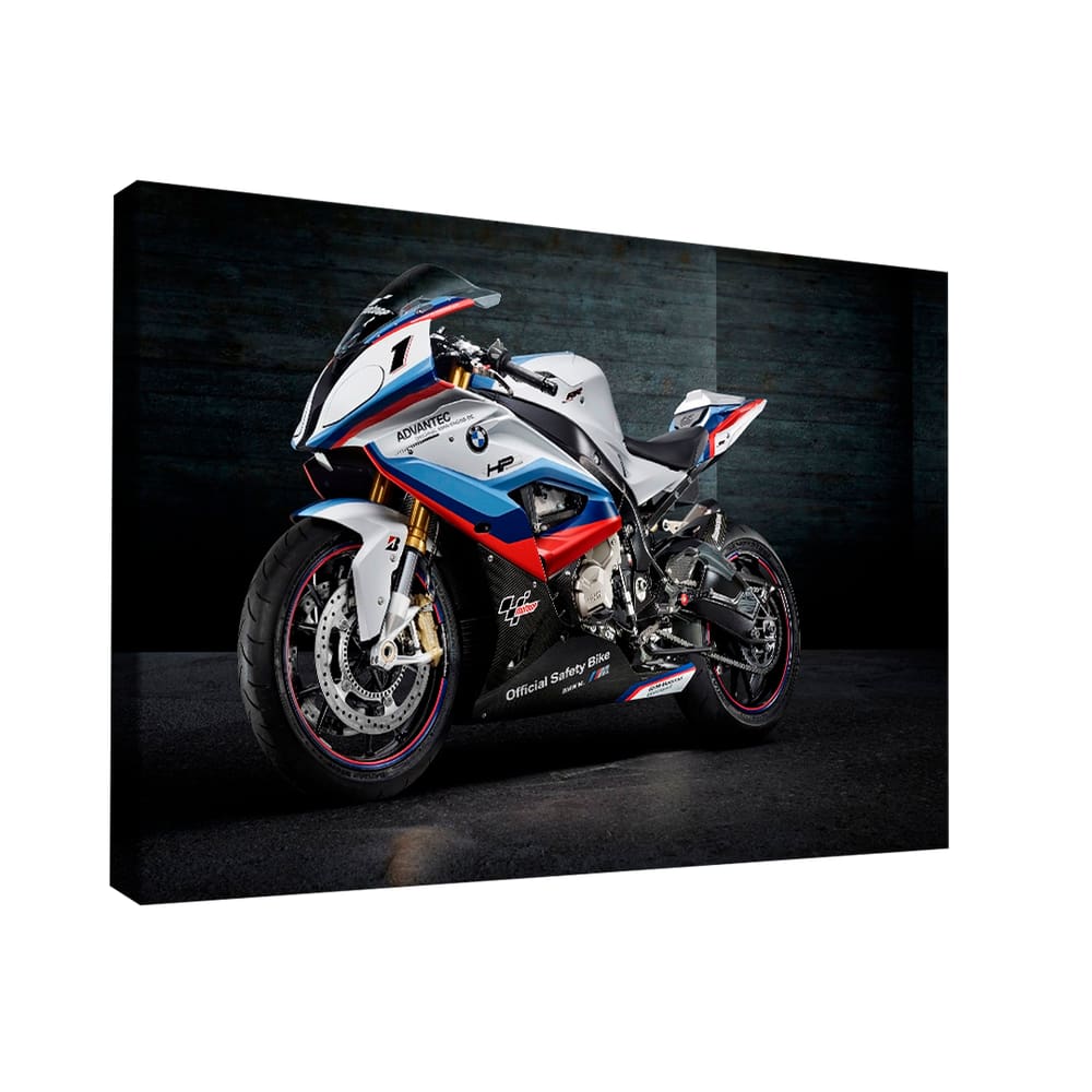 Quadro Bmw S1000 -- BR ARTES