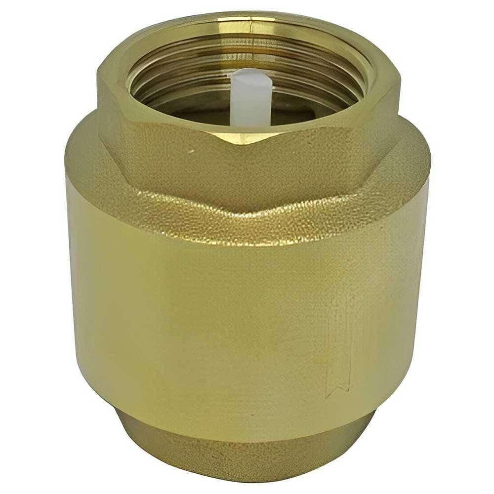 Válvula de Retenção 1 Pol em Latão 2468 BREMEN