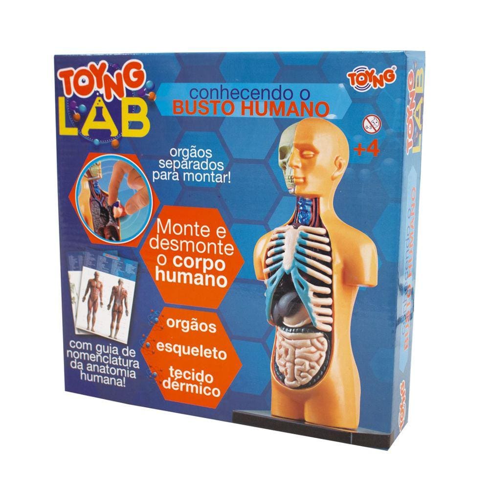 Kit Medico Explora Corpo Humano