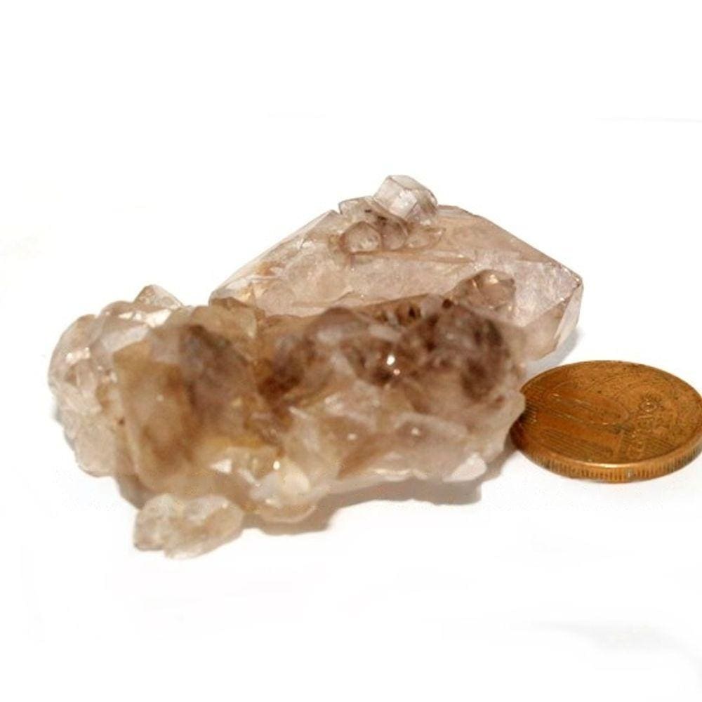Elestial Cristal Jacare Extra Natural Geminado Cod 135672