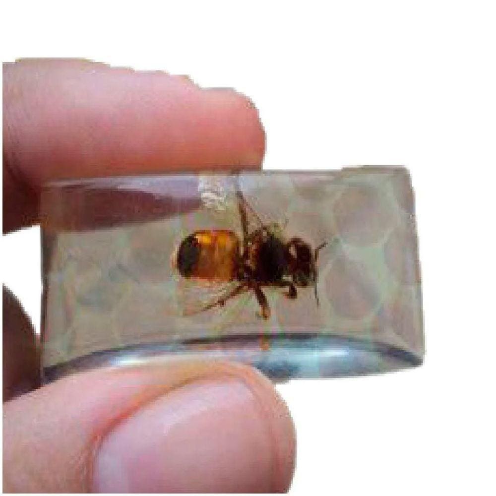 02 Gelo Com Abelha Q