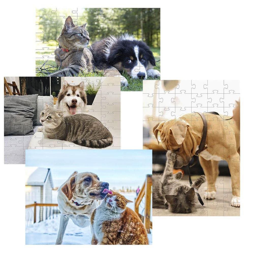 Kit 4 Quebra-Cabeças Atividades Mente Cães E Gatos 60 Peças