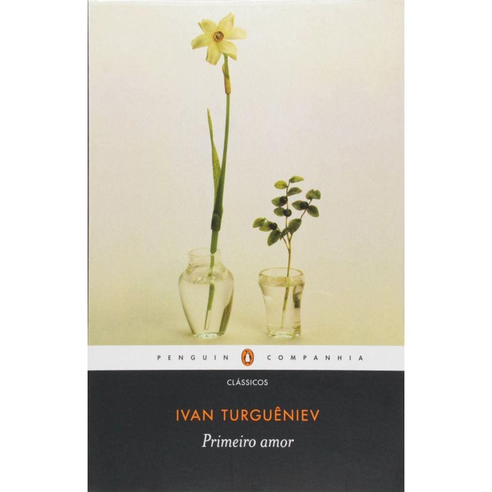 Livro - Primeiro Amor - Ed. Penguin-Companhia