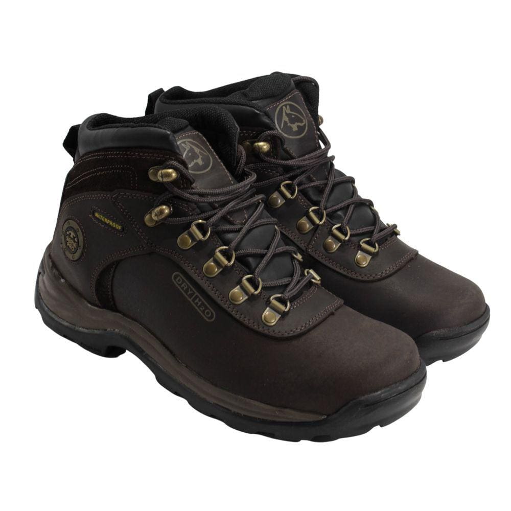 Coturno Bull Terrier Freemont