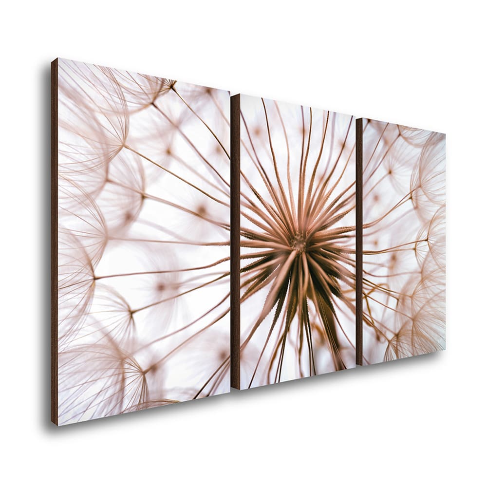 Kit 3 Quadros Decorativos Dente de Leão 50x90cm