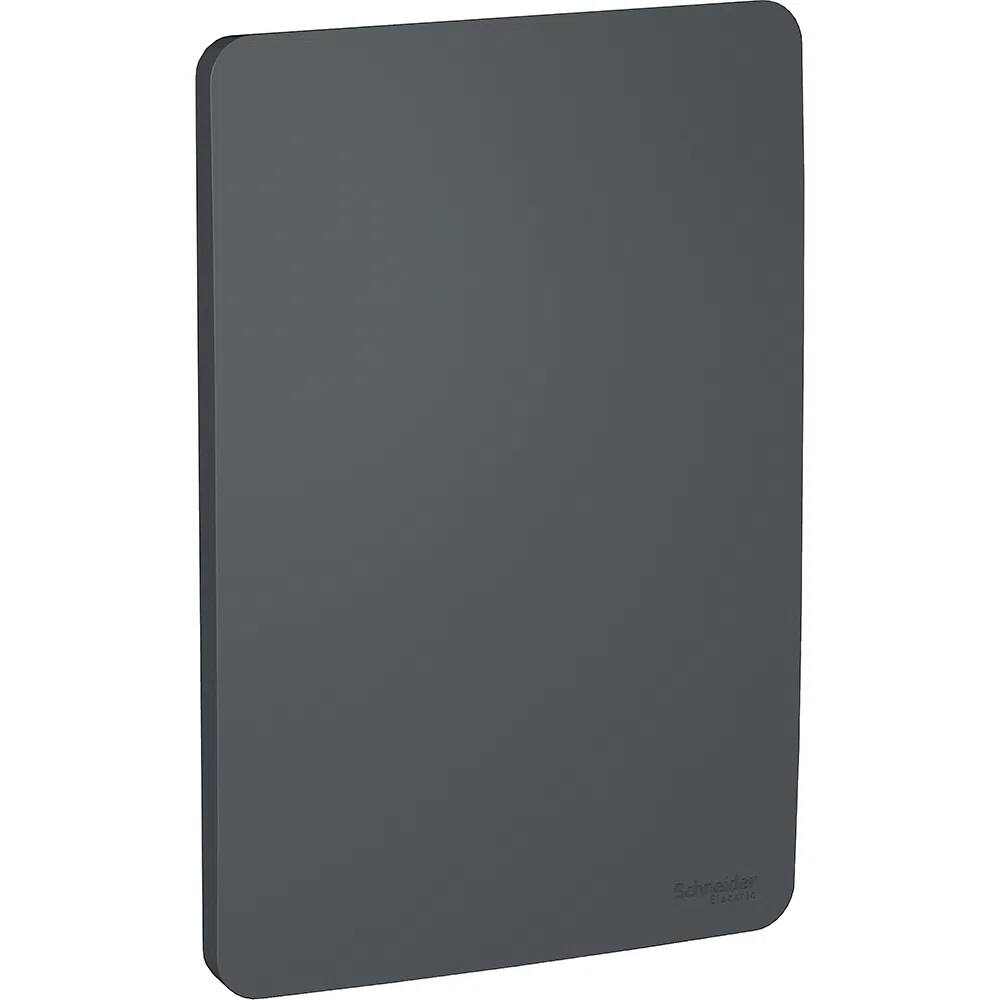 Placa 4X2 Cega Stellar Black Orion S730100294 Schneider