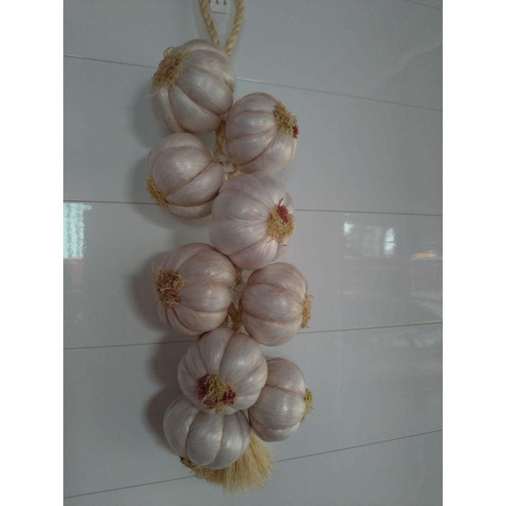 Restia ou Trança Pequena de Alho Branco Artificia para Decoração