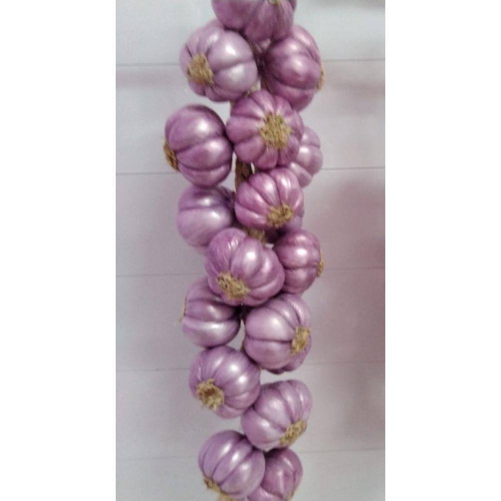Restia ou Trança Grande de Alho Roxo Artificia para Decoração