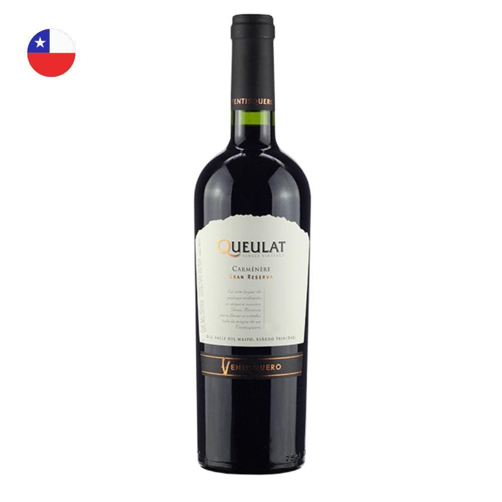Vinho Ventisquero Queulat Gran Reserva Carménère Tinto Chile 750ml