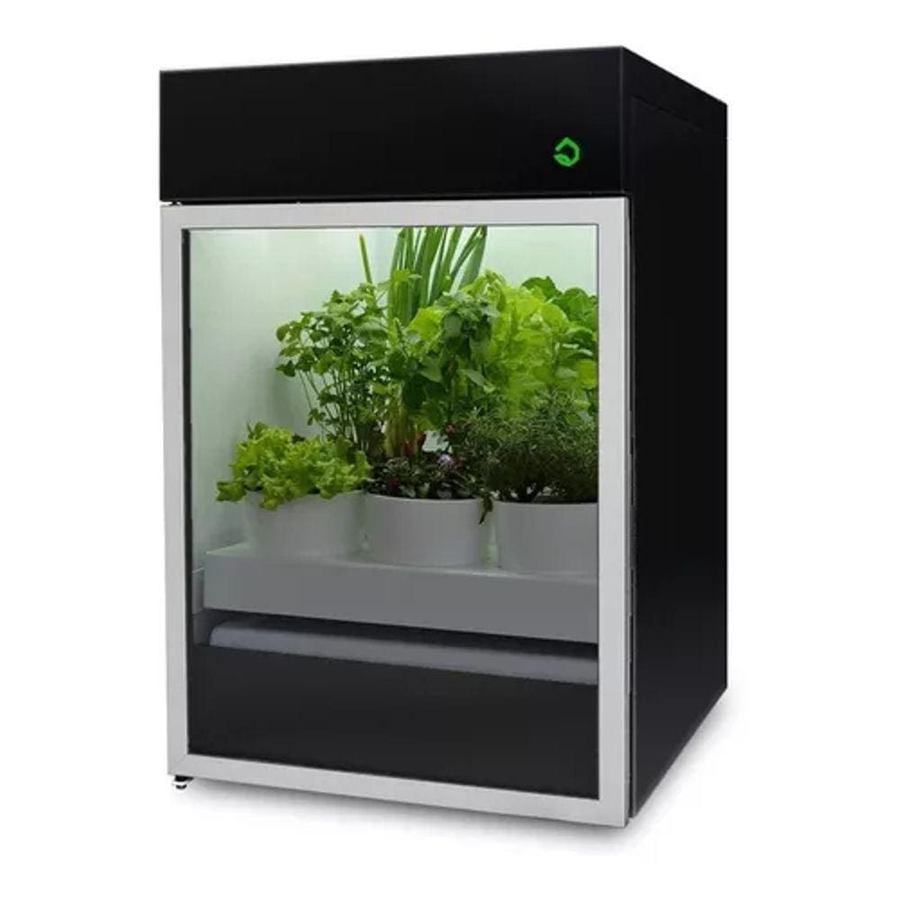 Estufa Para Cultivo De Planta - 220v - 9 Vasos - Plantário